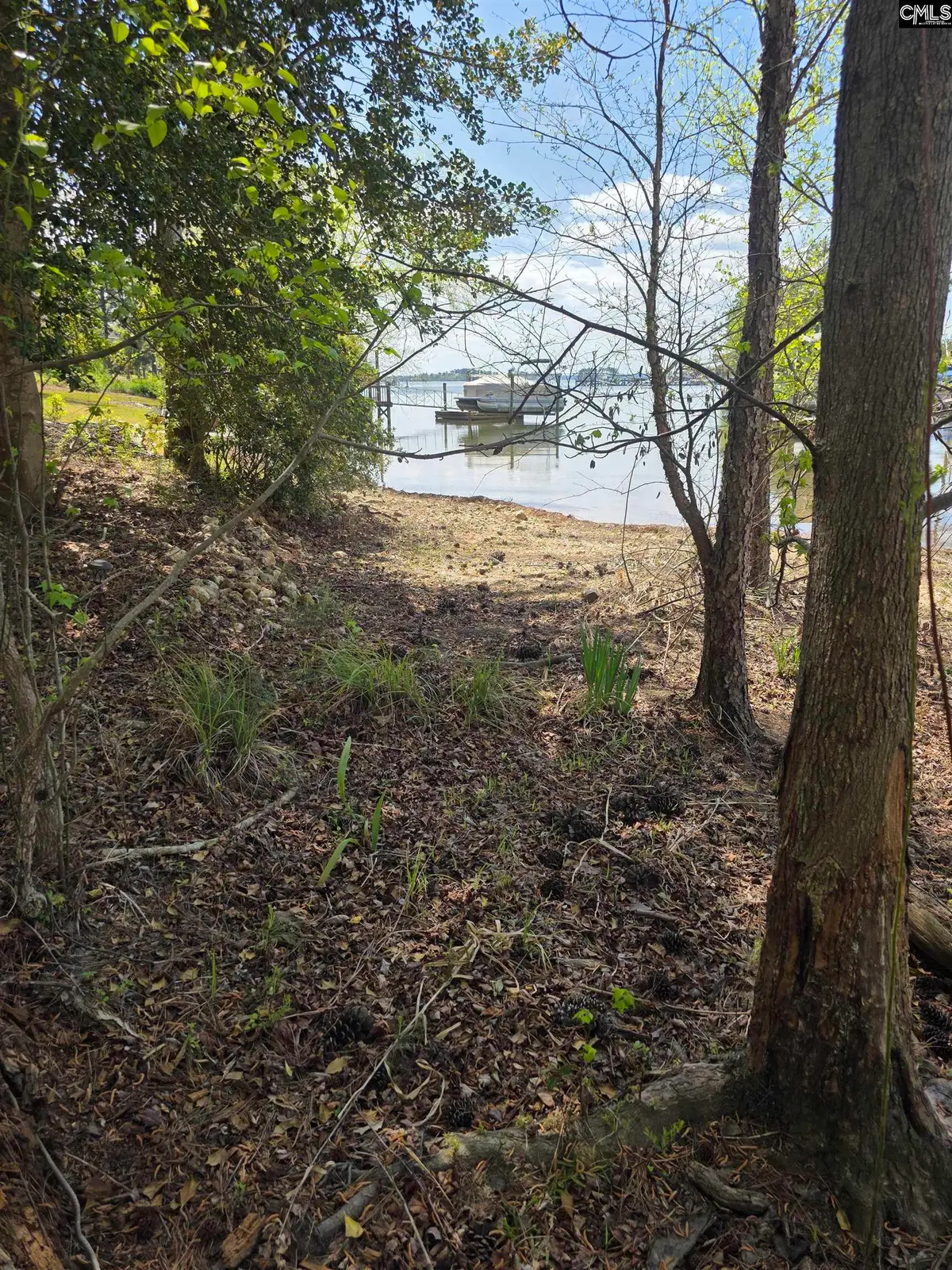 118 Club Court, Chapin, SC 29036 - #1