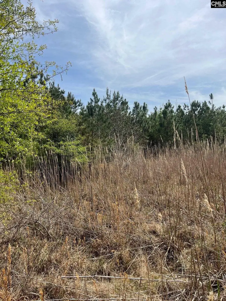 BDF 4 Beaverdam Road, Cassatt, SC 29032 - #3