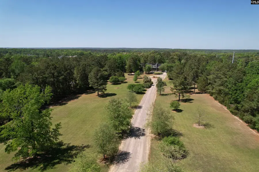 1121 Canterfield Road, Chapin, SC 29036 - #3