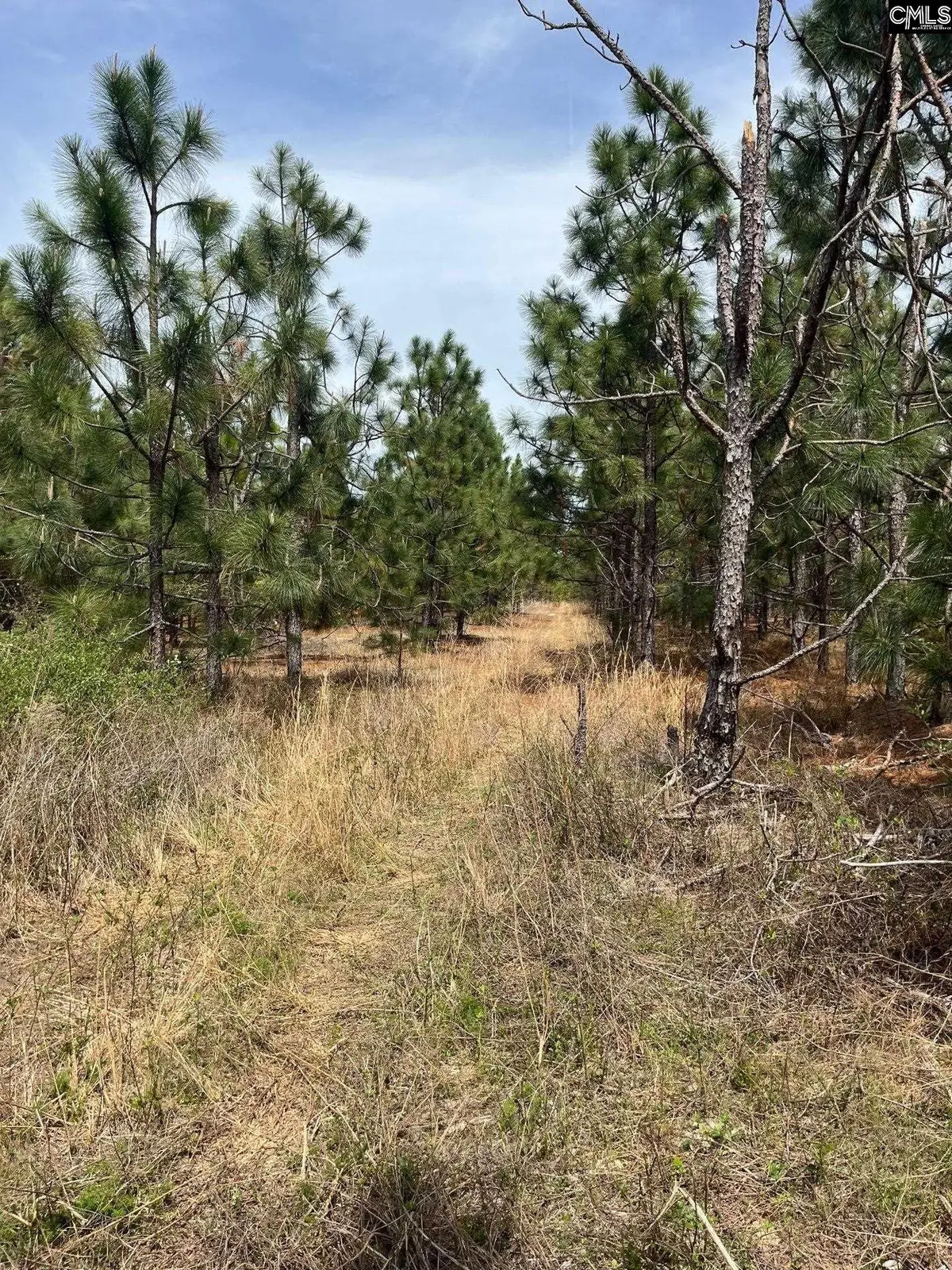 BDF 6 Beaverdam Road, Cassatt, SC 29032 - #1