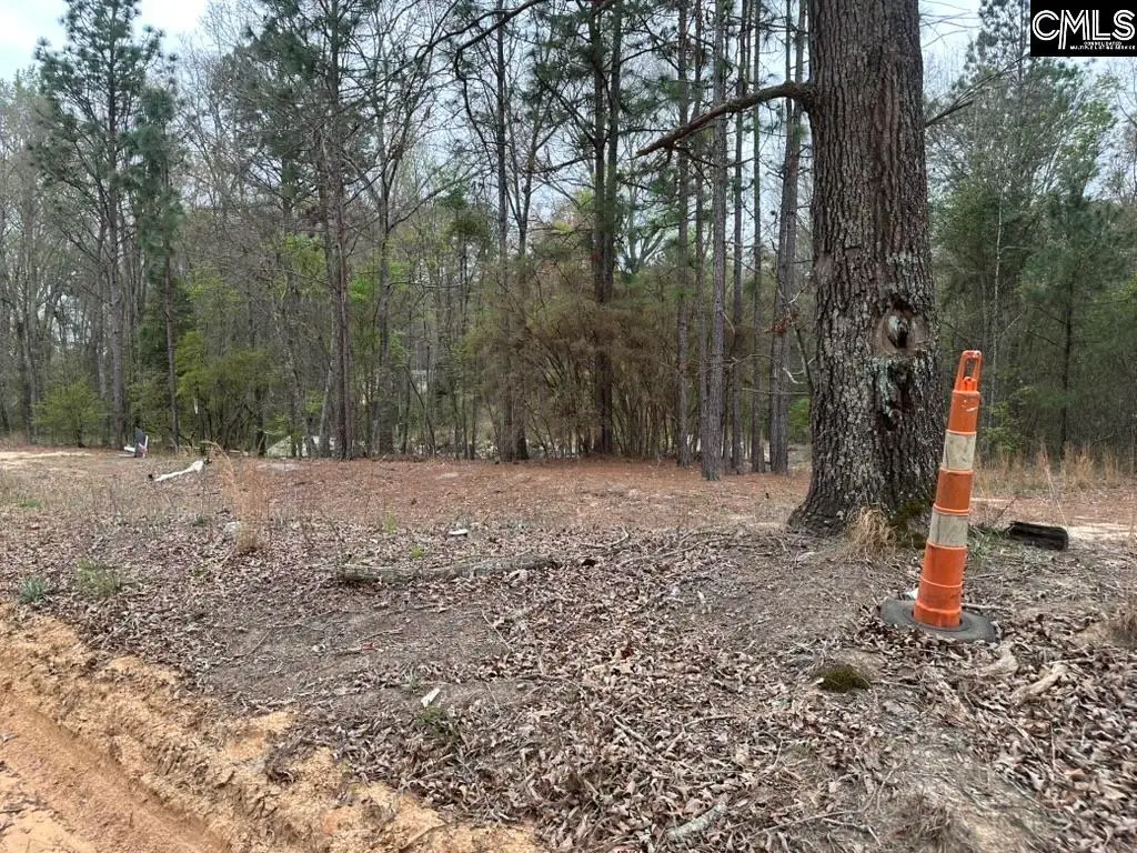 344 Terry Road, Pelion, SC 29123 - #1