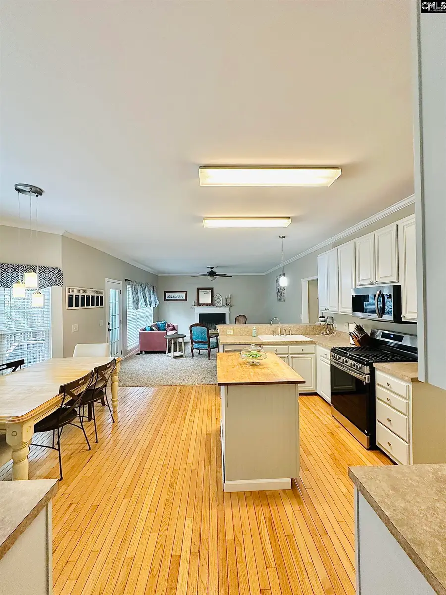 208 Saints Creek Lane, Irmo, SC 29063 - #3