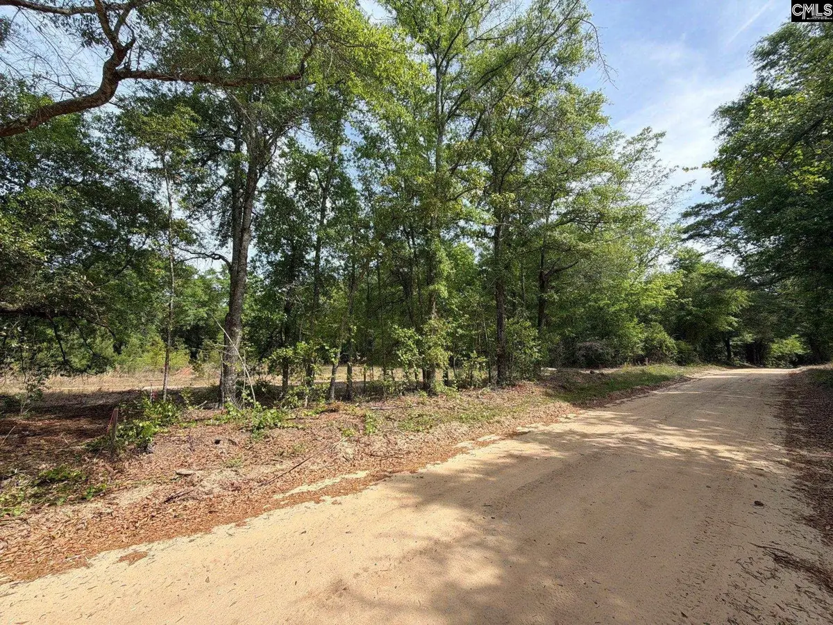 RRF 3 Rogers Cemetery Road, Salley, SC 29137 - #1