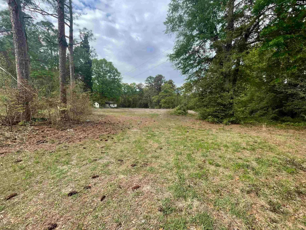231 Ladybug Road, Neeses, SC 29107 - #1
