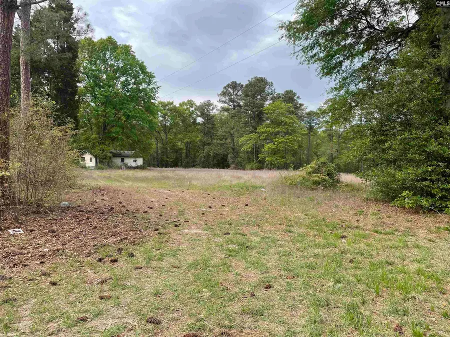 231 Ladybug Road, Neeses, SC 29107 - #2