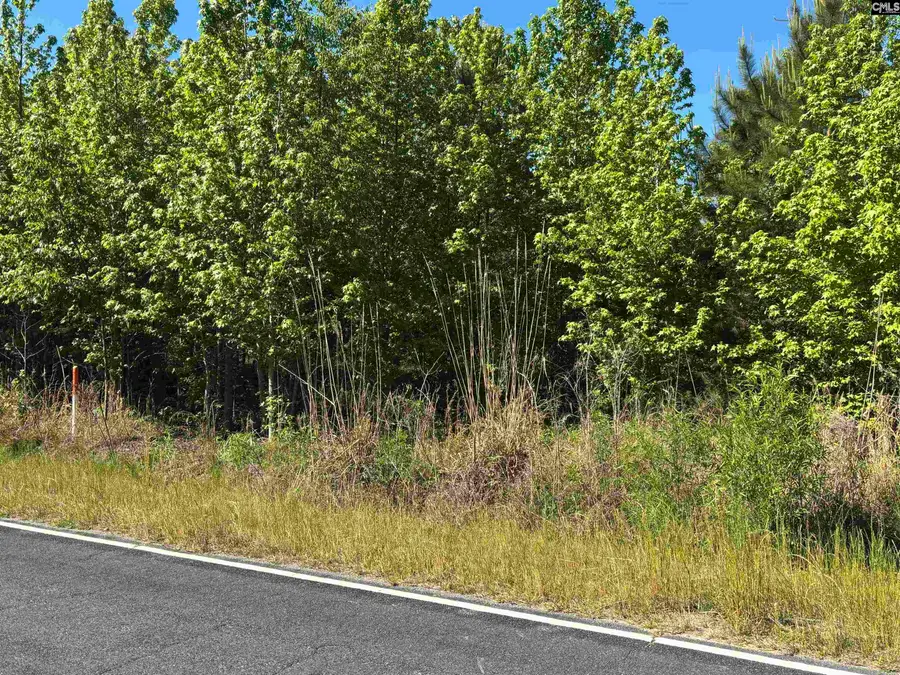 00 Second Texas Road, Saint George, SC 29477 - #2