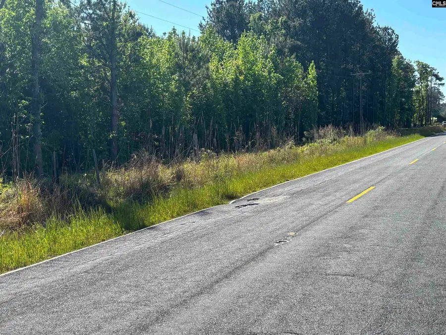 000 Second Texas Road, Saint George, SC 29477 - #3