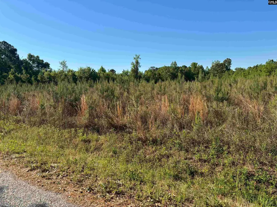 0 Texas Park Road, Saint George, SC 29477 - #2