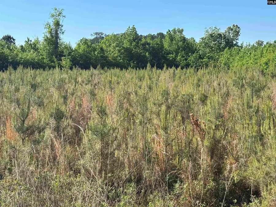 0 Texas Park Road, Saint George, SC 29477 - #3