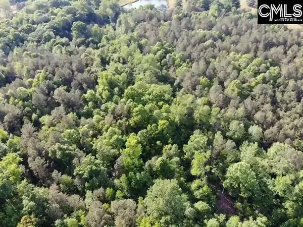 0 Macedonia Church Road, Prosperity, SC 29127