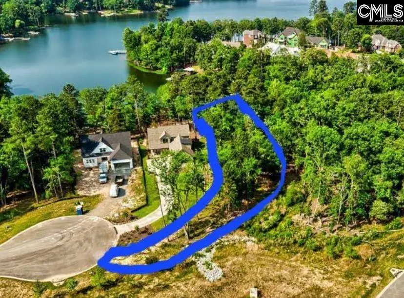 934 Salisbury Court, Chapin, SC 29036 - #3