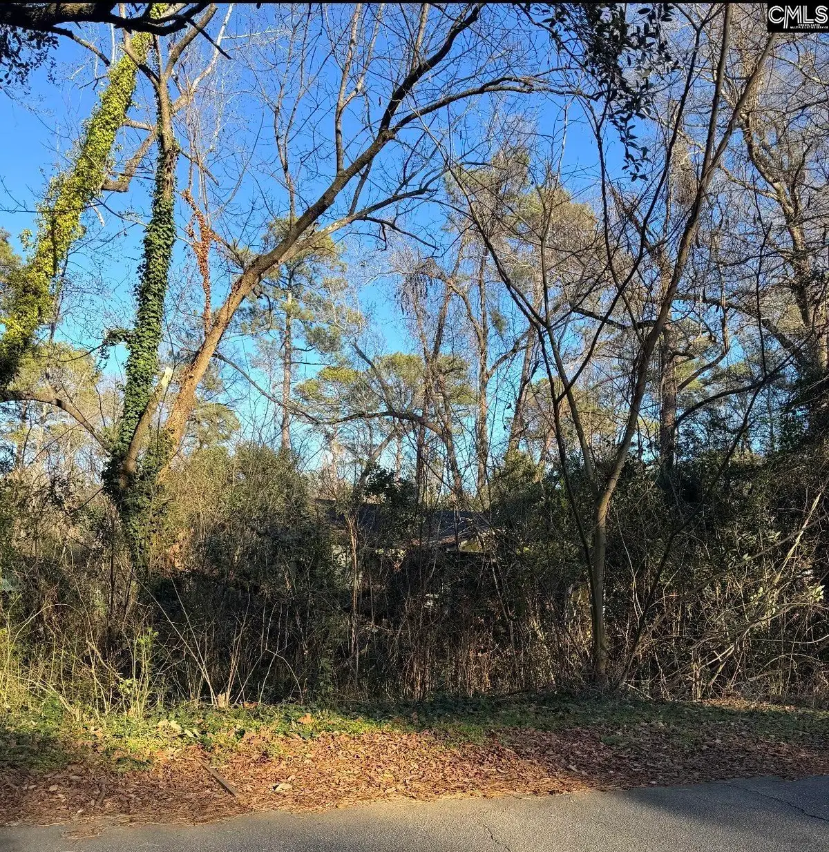 1522 Jerome Drive, Columbia, SC 29203 - #1