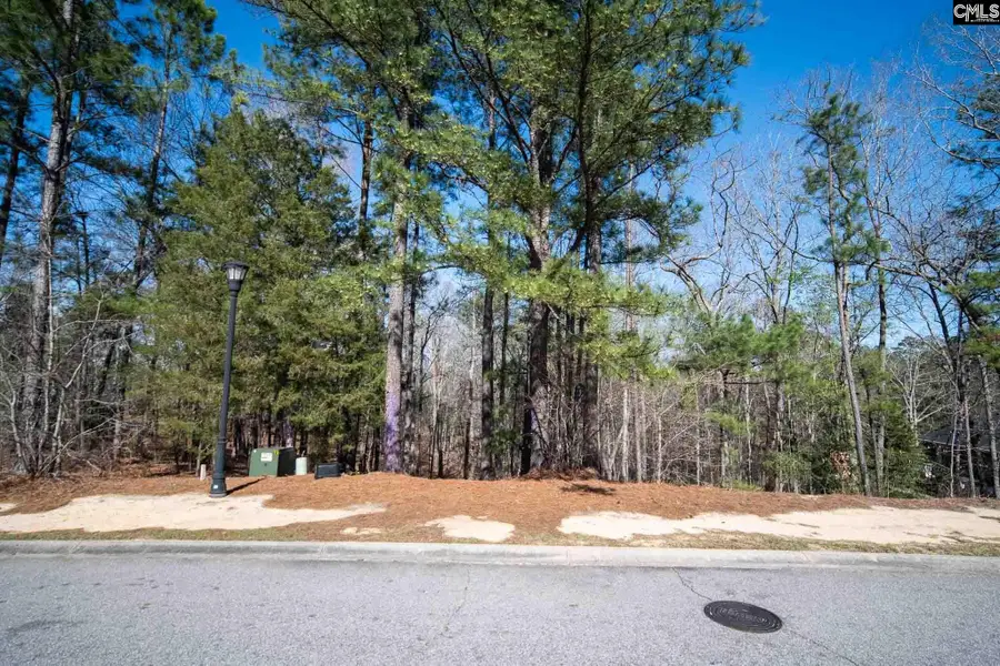 210 Stormycreek Lane, Blythewood, SC 29016 - #3