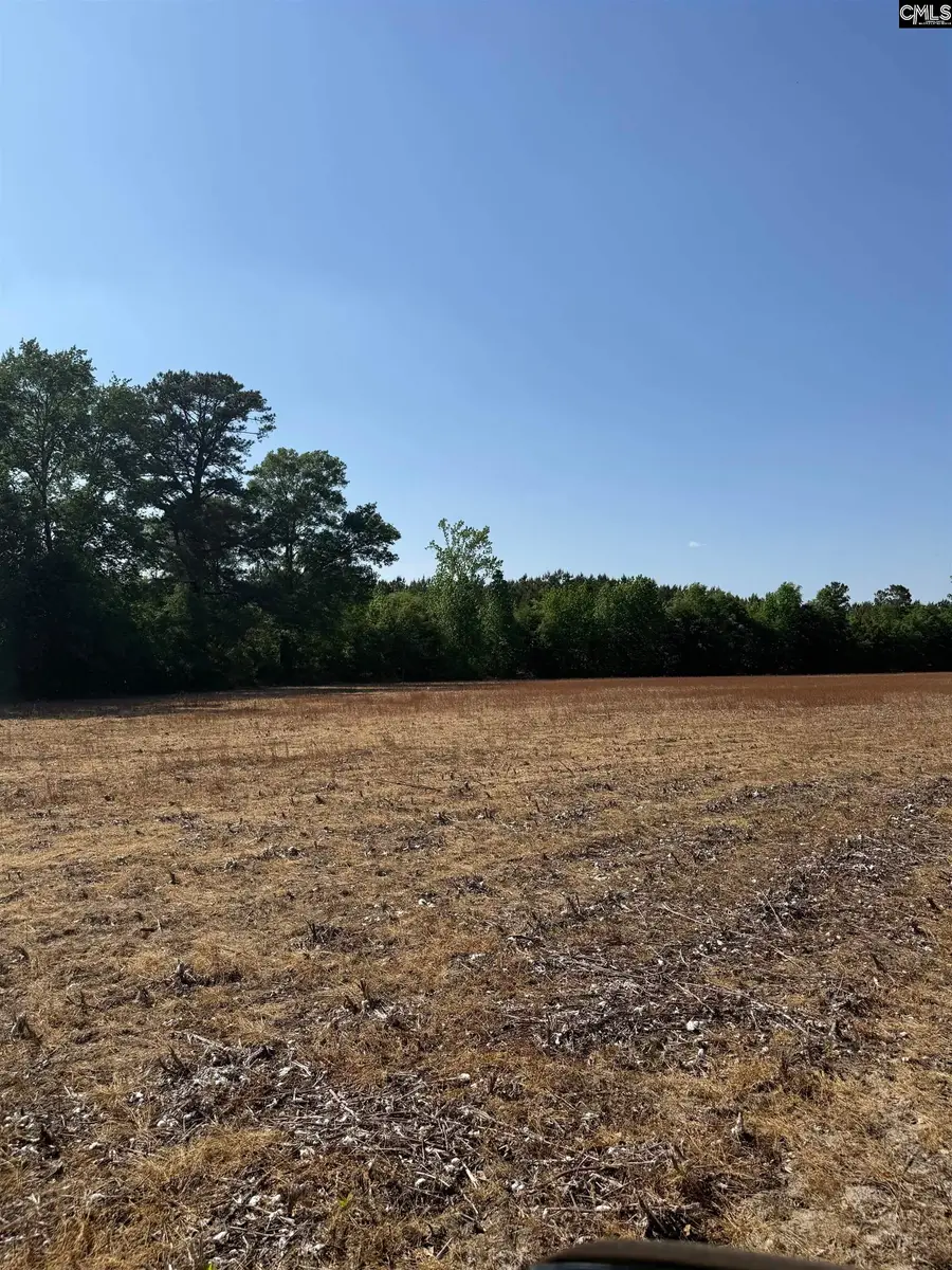 GMFO Young Road, Timmonsville, SC 29161 - #2