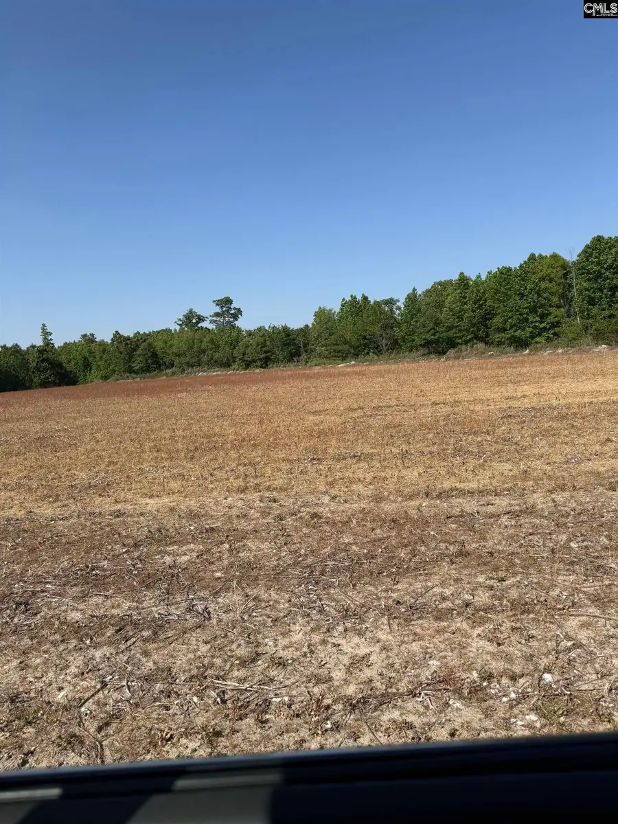 GMFO Young Road, Timmonsville, SC 29161 - #3