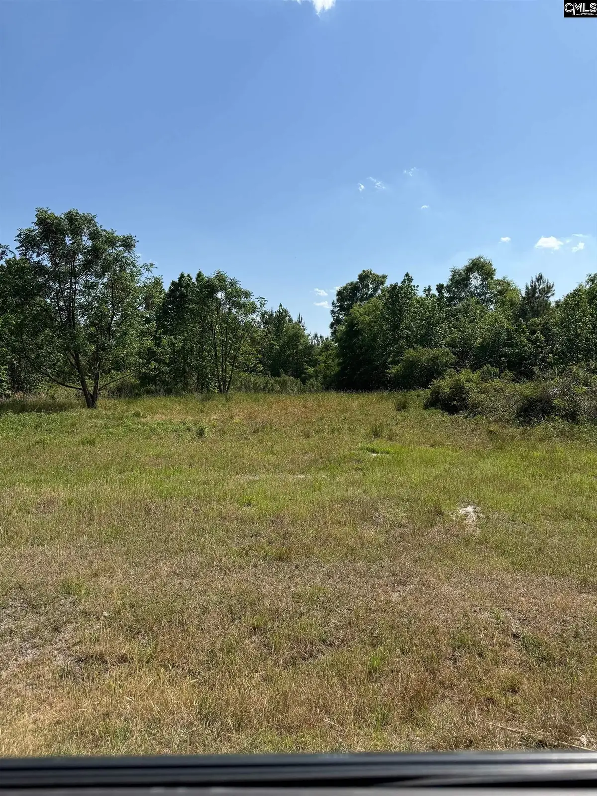 GMF B Young Road #GMF B, Timmonsville, SC 29161 - #1