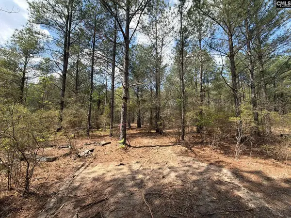 CA 4 Mt. Calvary Road, Ridge Spring, SC 29129