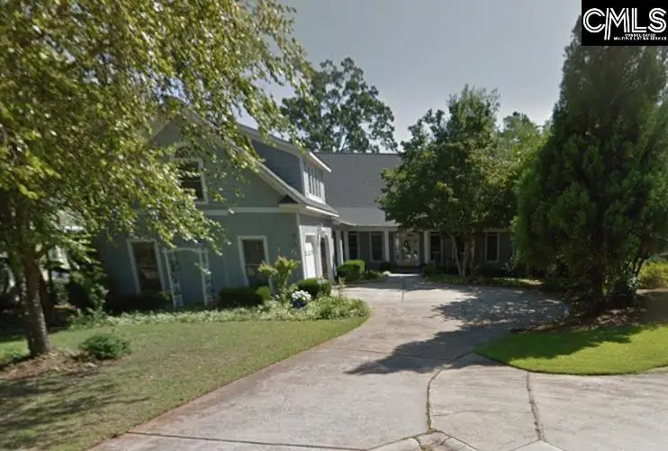 637 Webster Pointe Drive, Chapin, SC 29036 - #1