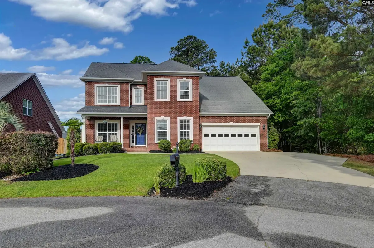123 Jasmine Bay Lane, Chapin, SC 29036 - #1