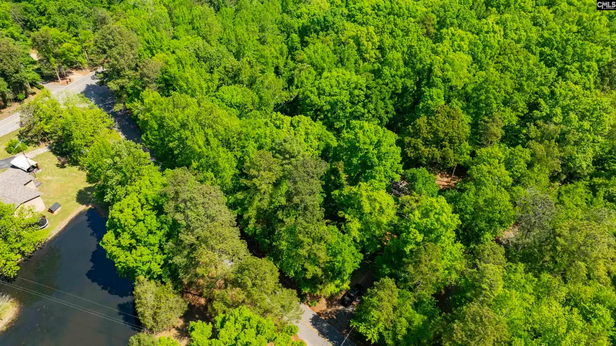 382 Oliver Metz Road, Lexington, SC 29072 - #1