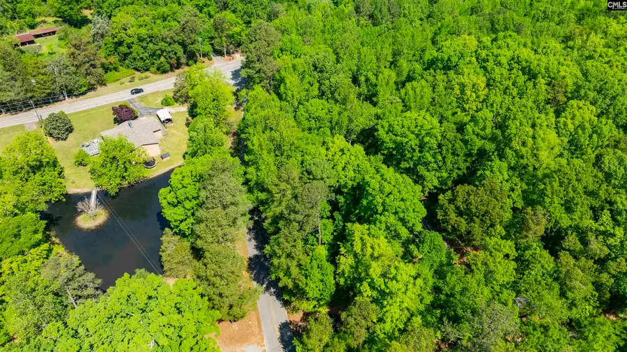 382 Oliver Metz Road, Lexington, SC 29072 - #2