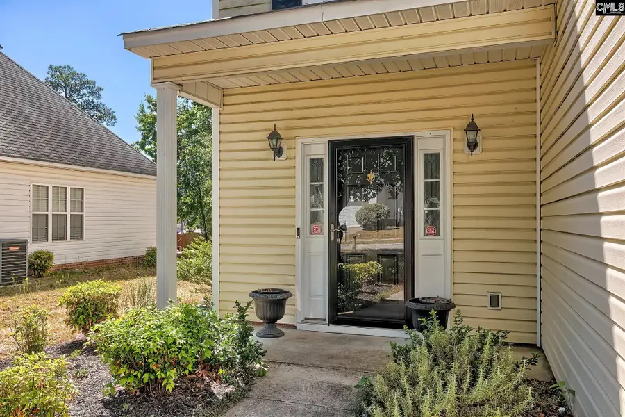 309 Joshua Tree Ct, Blythewood, SC 29016 - #2