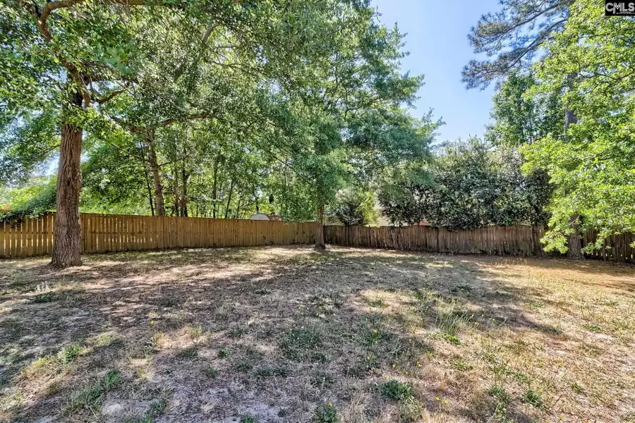 309 Joshua Tree Ct, Blythewood, SC 29016 - #3