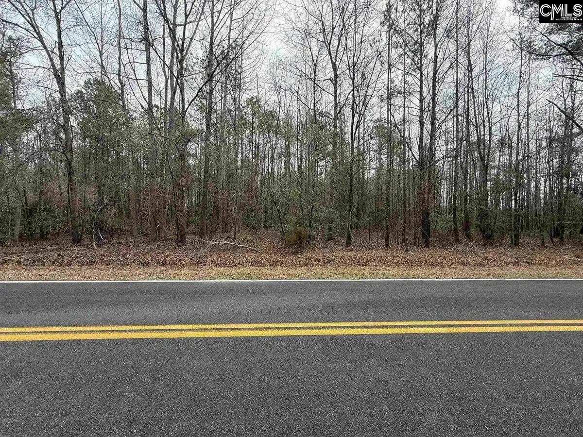 1644 Pincushion Road, Columbia, SC 29209 - #1