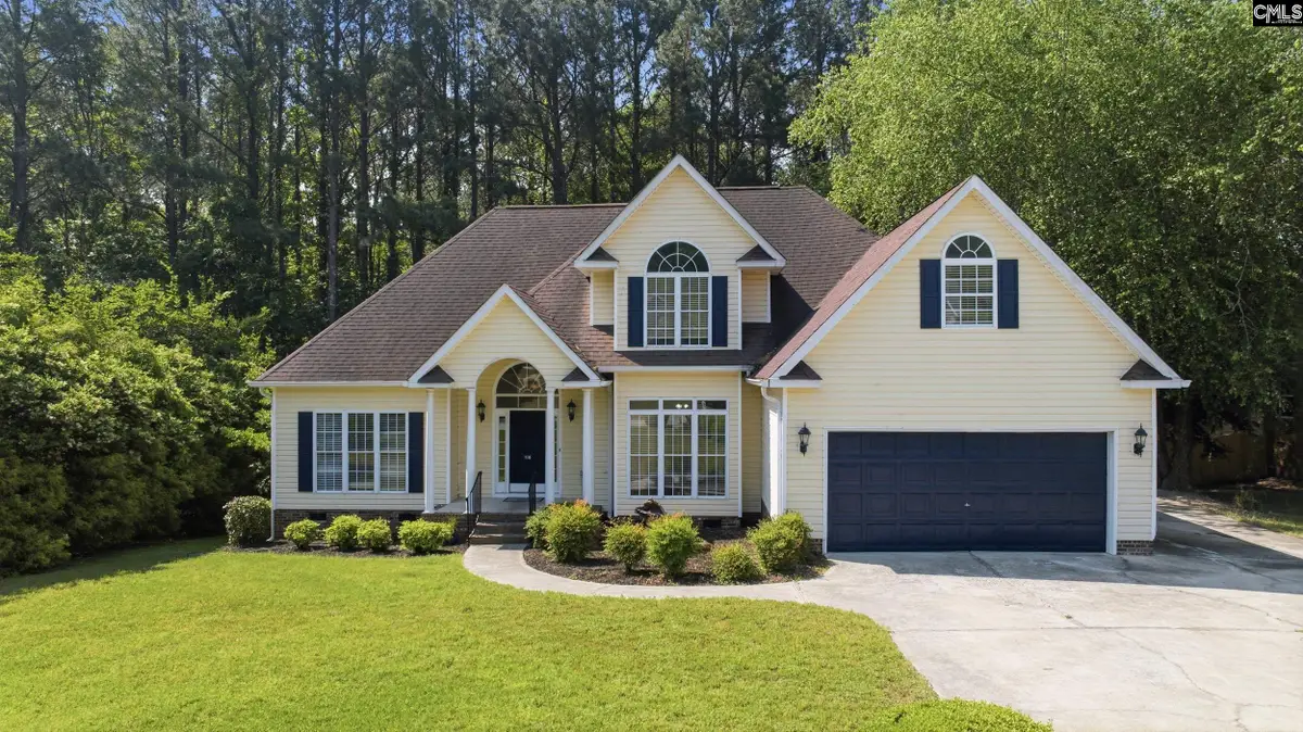 116 Rum Gully Lane, Chapin, SC 29036 - #1