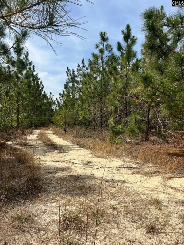 CA 9 Mt. Calvary Road, Ridge Spring, SC 29129