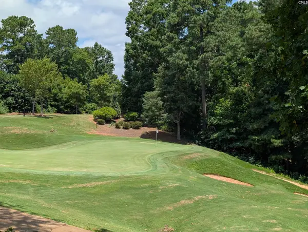 1060 Coogler Crossing Drive, Blythewood, SC 29016