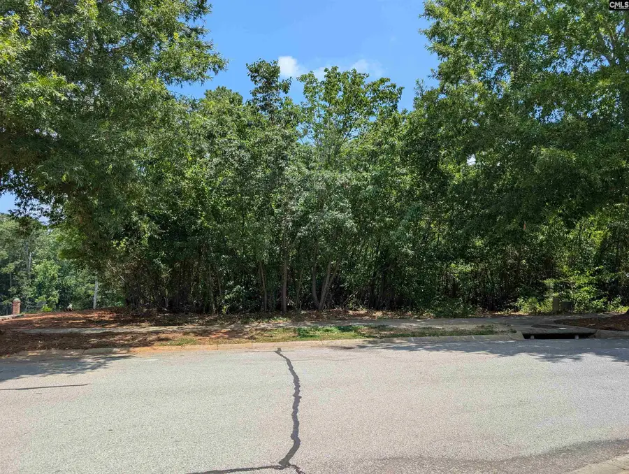 1060 Coogler Crossing Drive, Blythewood, SC 29016 - #2