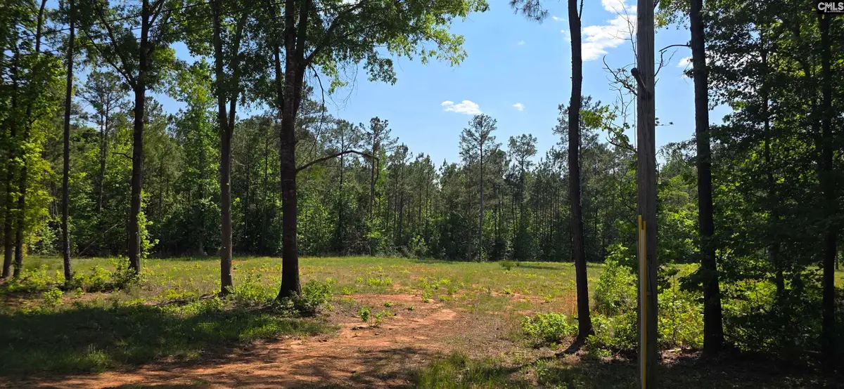 TBD Trade Mill Road, Winnsboro, SC 29180 - #1