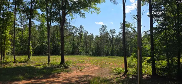 TBD Trade Mill Road, Winnsboro, SC 29180