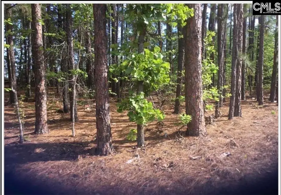 N/S Percival Road, Columbia, SC 29229 - #1