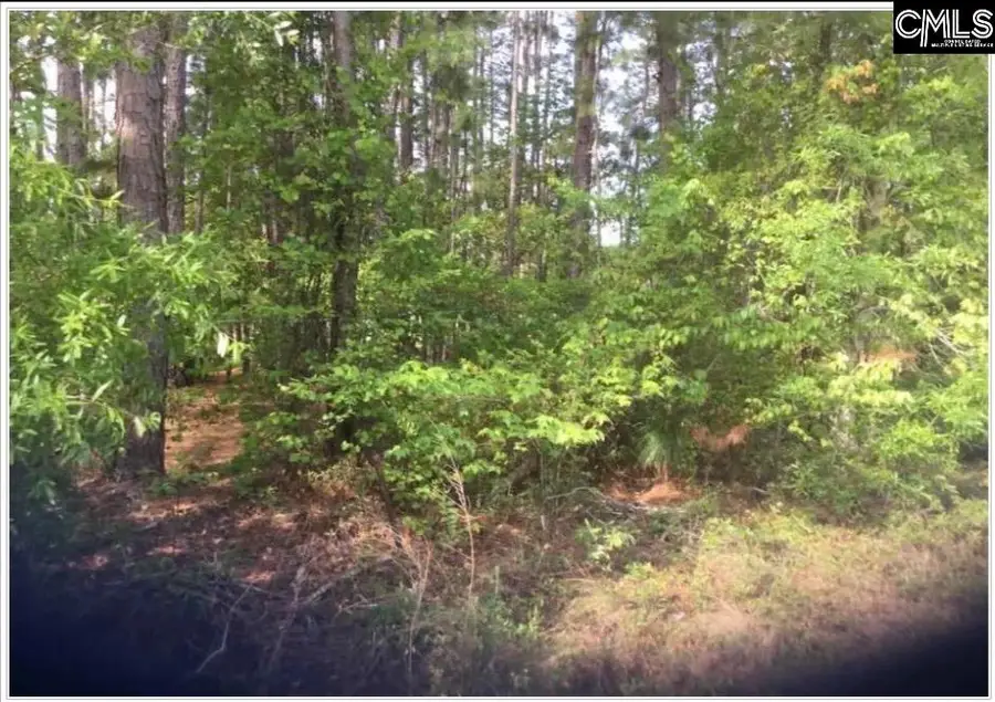 N/S Percival Road, Columbia, SC 29229 - #2