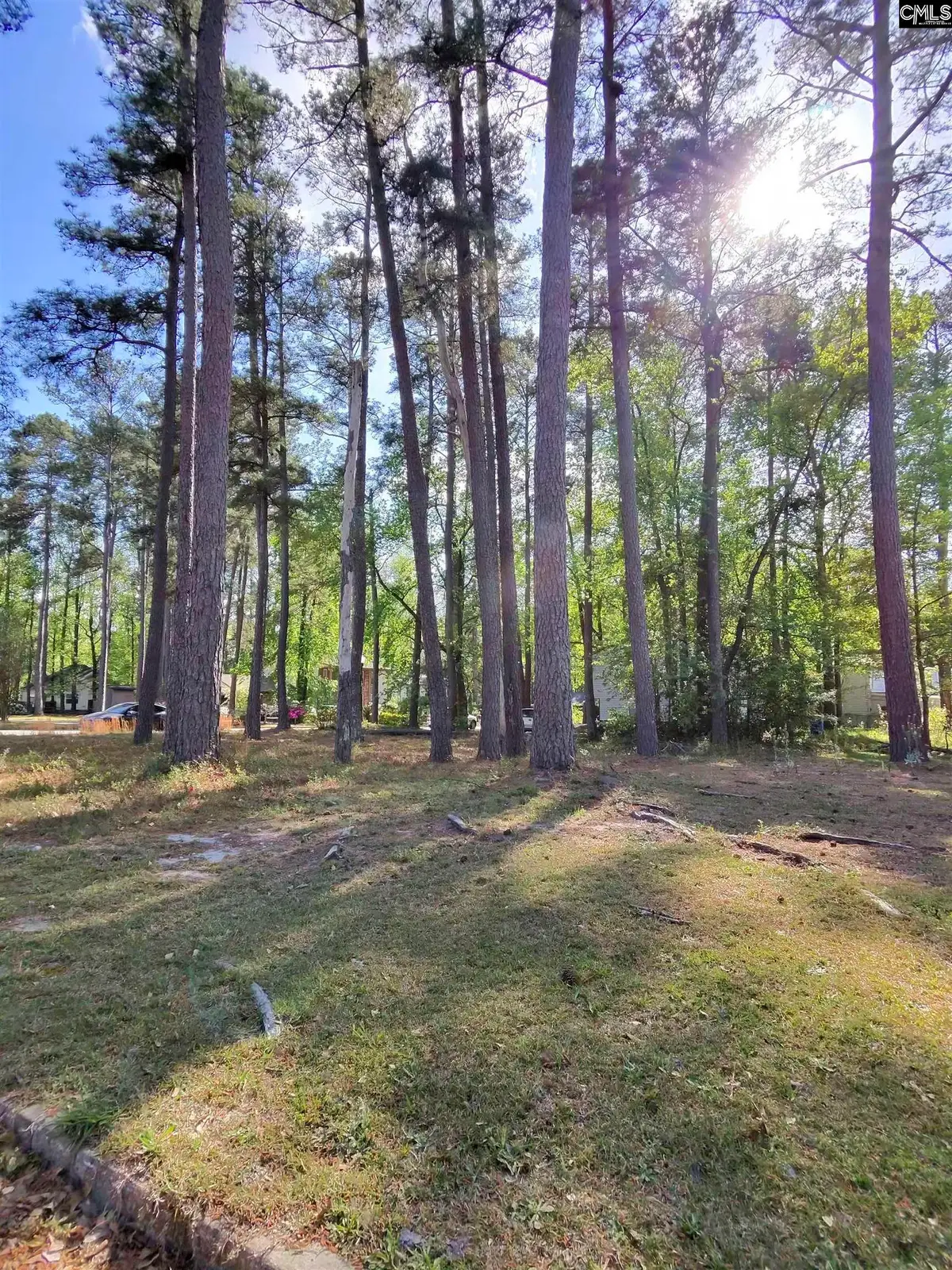 TBD Lang Road, Columbia, SC 29204 - #1