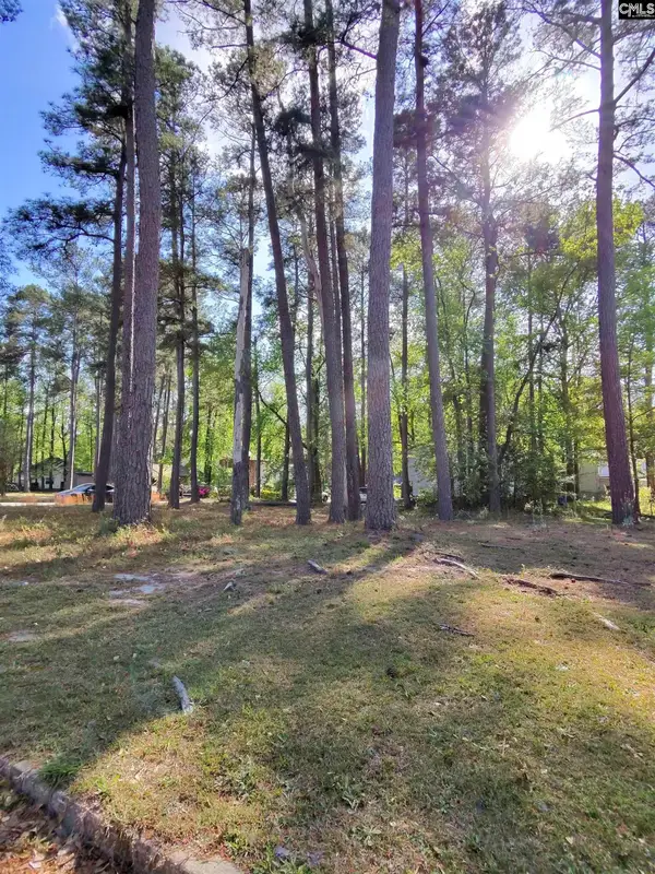 TBD Lang Road, Columbia, SC 29204