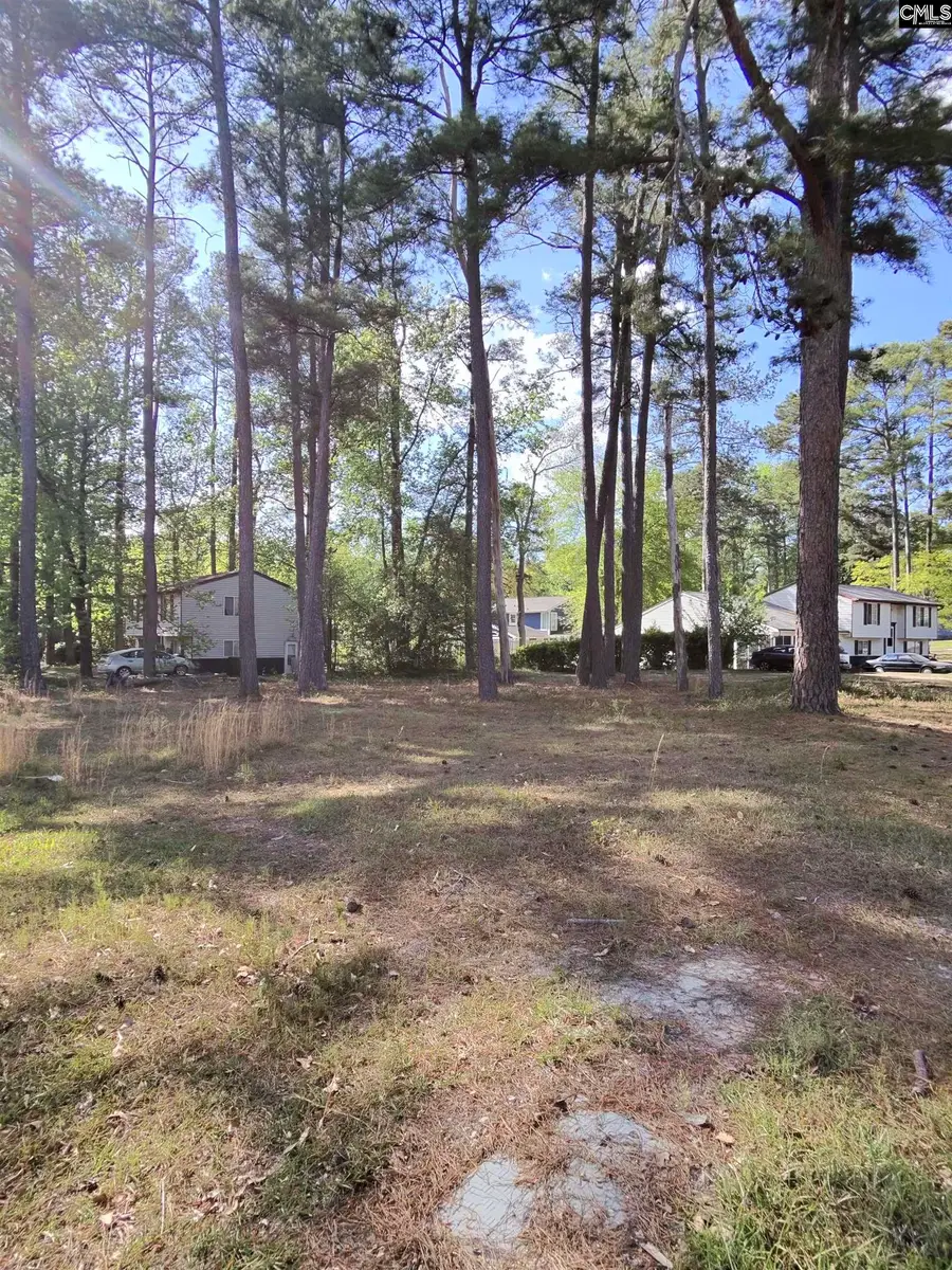 TBD Lang Road, Columbia, SC 29204 - #2