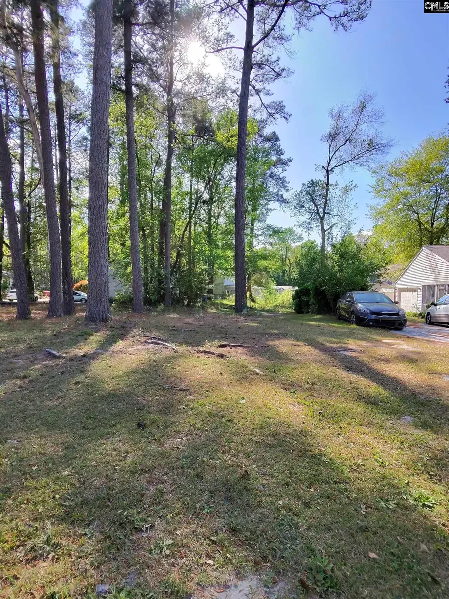 TBD Lang Road, Columbia, SC 29204 - #3