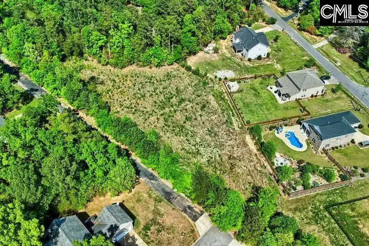 109 Carrituck Court, Chapin, SC 29036 - #1