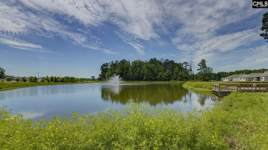 194 Ruby Prince Road, Gilbert, SC 29054 - #3