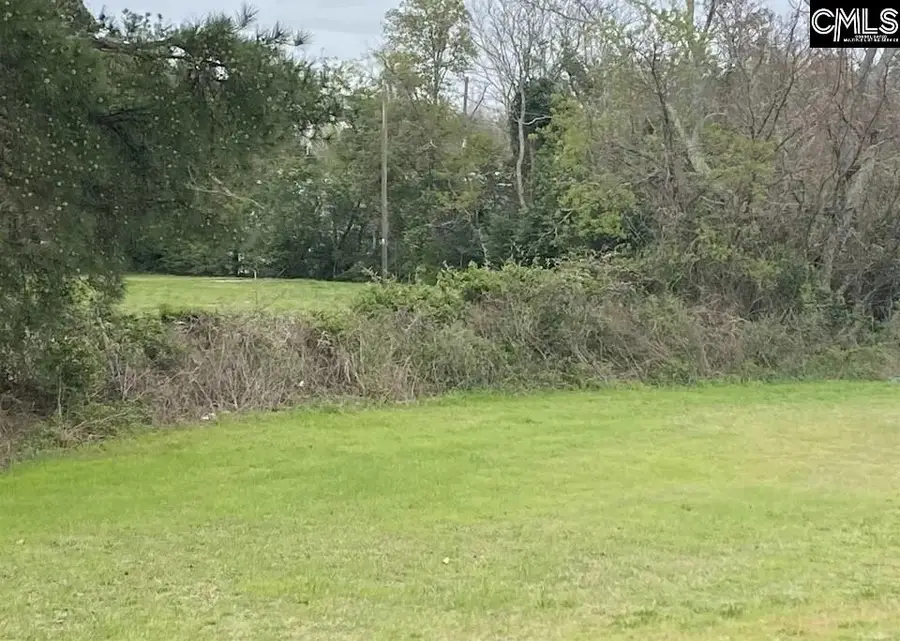 1903 Platt Springs Road, West Columbia, SC 29169 - #3