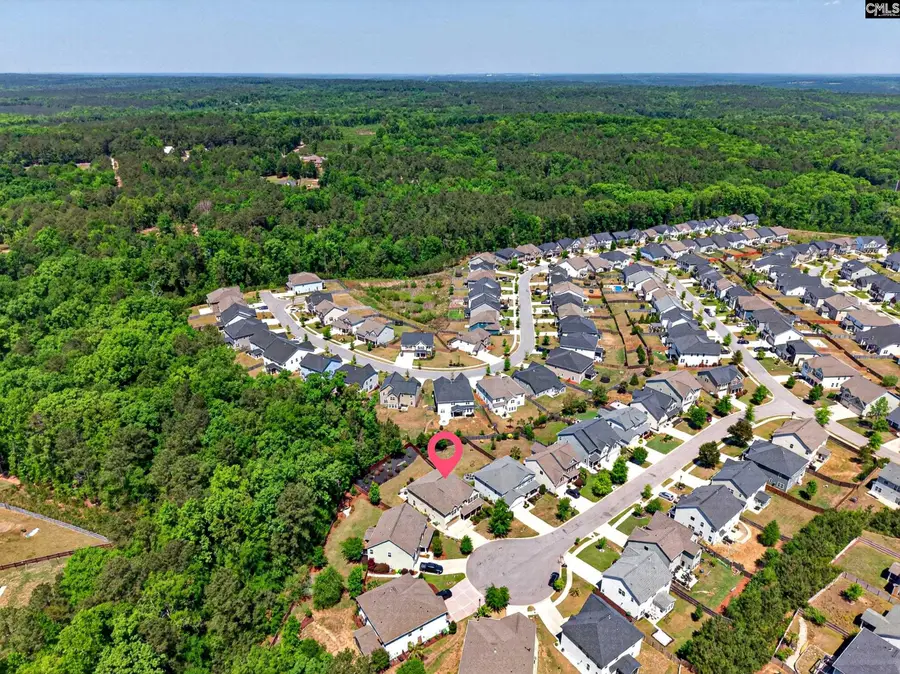 436 Maria Posada Ct, Chapin, SC 29036 - #2