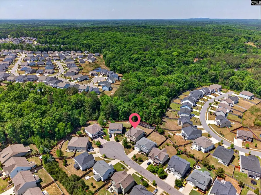436 Maria Posada Ct, Chapin, SC 29036 - #3