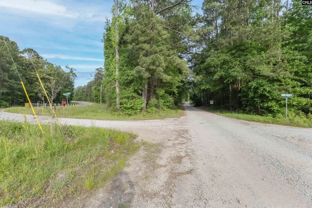 TBD St. Peters Church Road, Chapin, SC 29036 - #1
