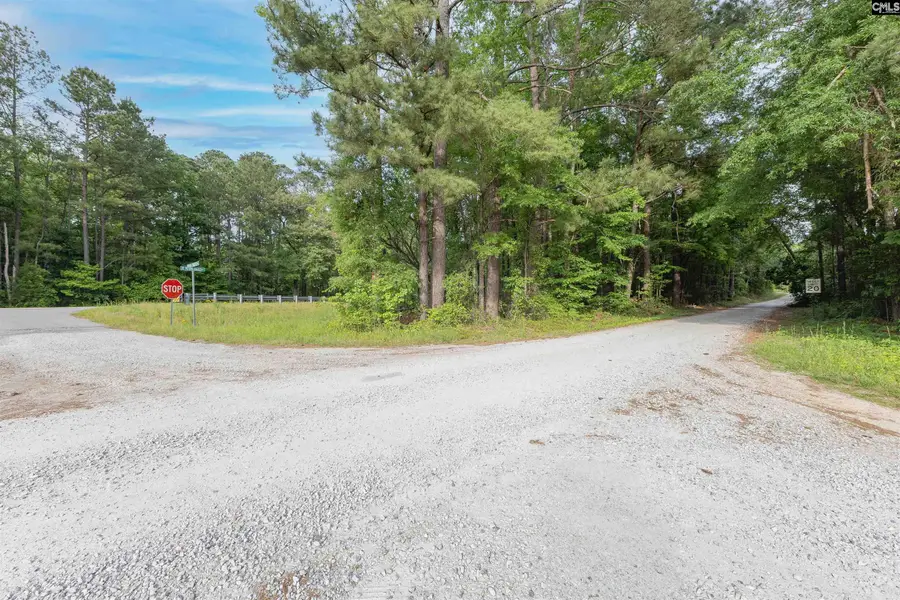 TBD St. Peters Church Road, Chapin, SC 29036 - #2