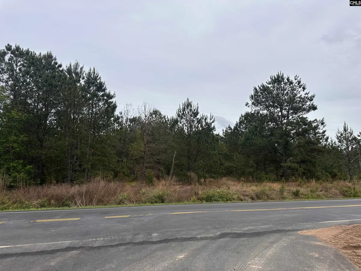 Tract 2 Patrick Highway, Hartsville, SC 29550 - #1