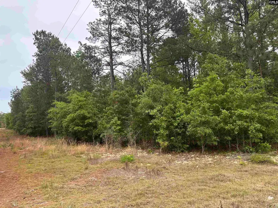 Tract 2 Patrick Highway, Hartsville, SC 29550 - #2