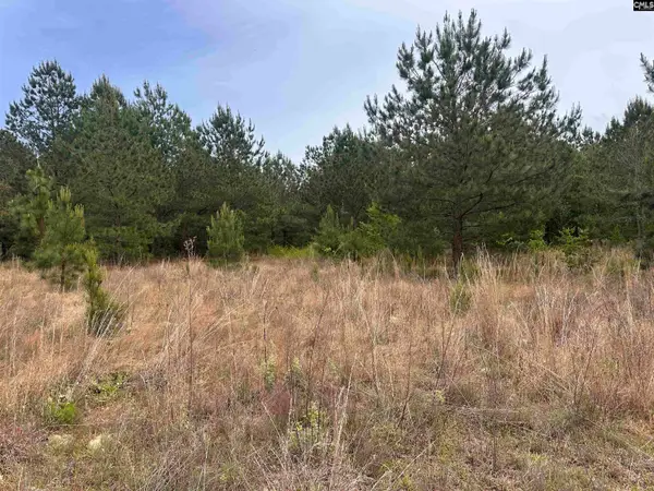 Tract 3 Patrick Highway, Hartsville, SC 29550